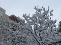 Neve (49)